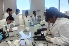 WhatsApp-Image-2025-11-28-at-12.47.18-2