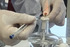 WhatsApp-Image-2025-11-28-at-12.47.18-3