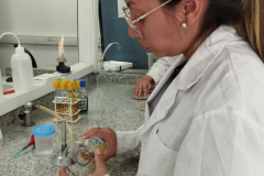 WhatsApp-Image-2025-11-28-at-12.47.18-4