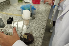 WhatsApp-Image-2025-11-28-at-12.47.19